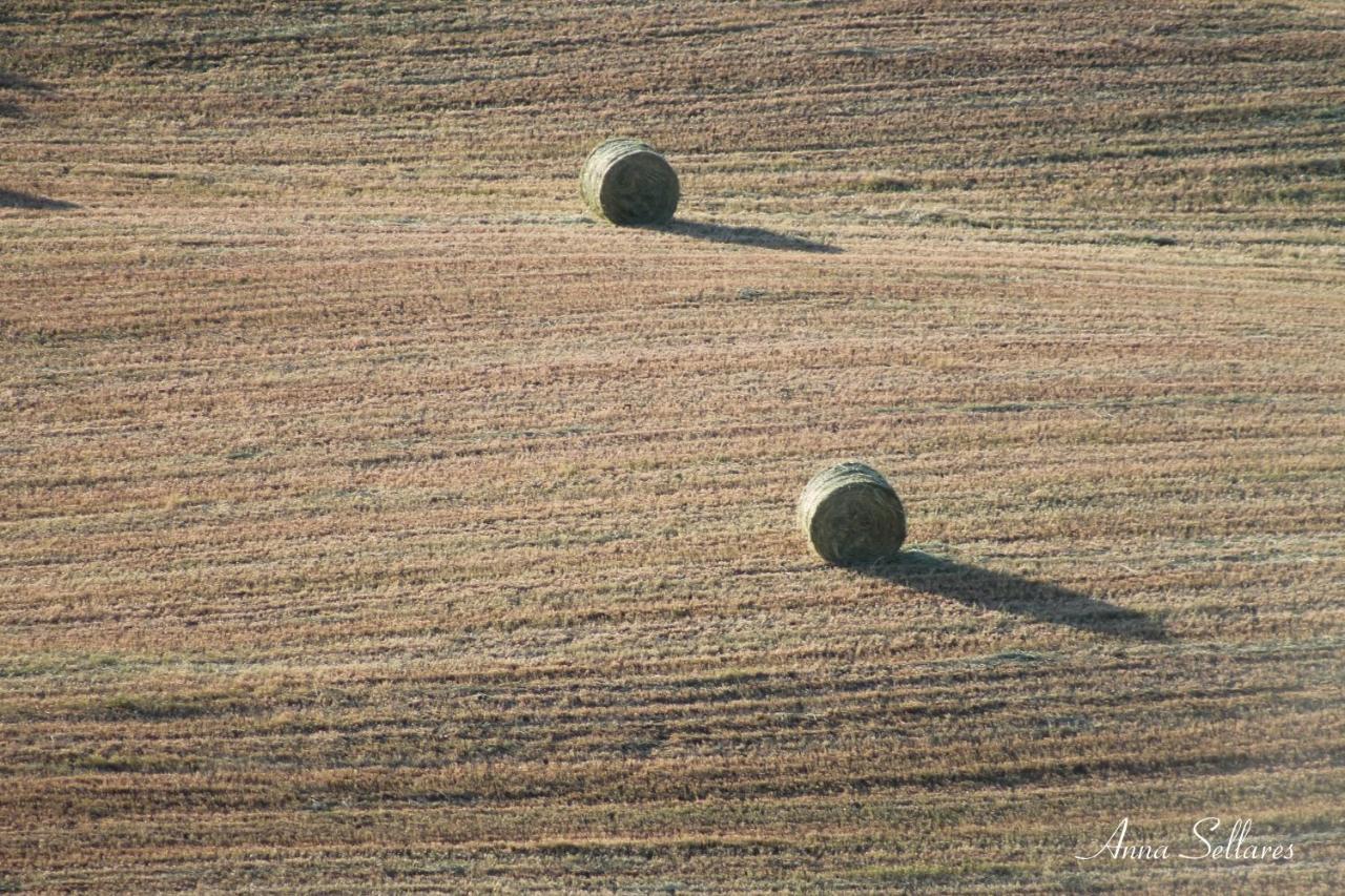 Soleluna San Quirico dʼOrcia Exteriér fotografie