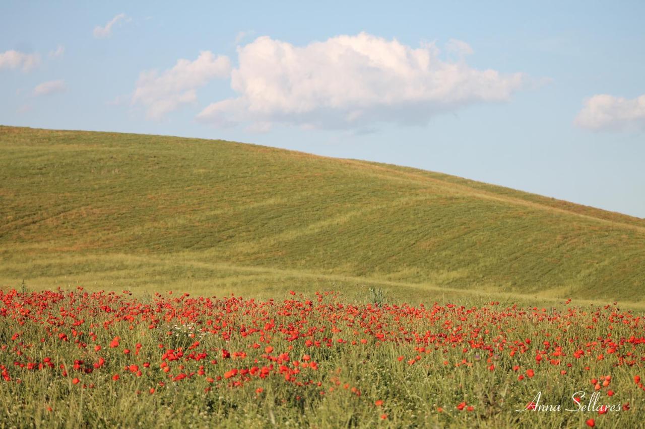 Soleluna San Quirico dʼOrcia Exteriér fotografie
