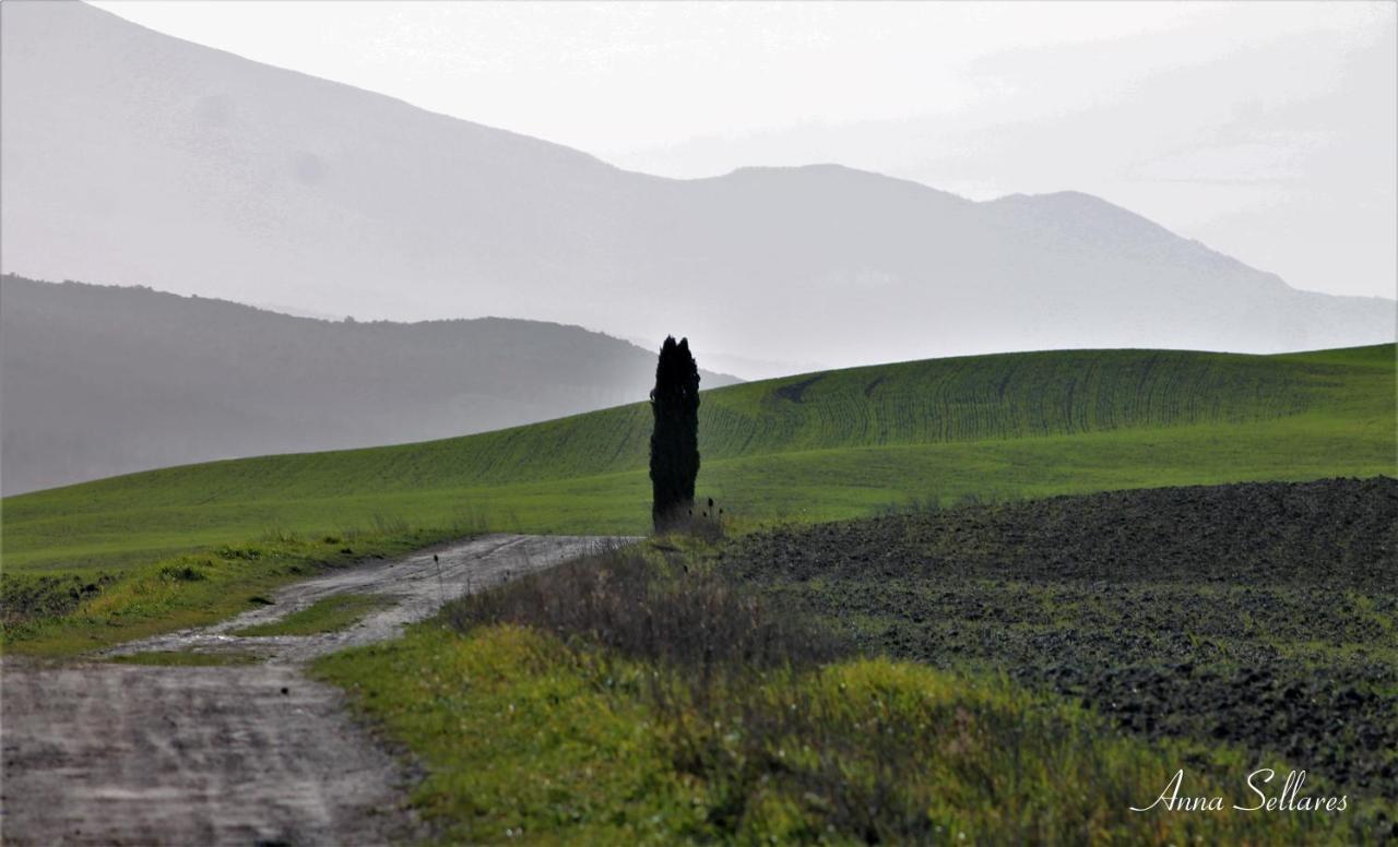 Soleluna San Quirico dʼOrcia Exteriér fotografie